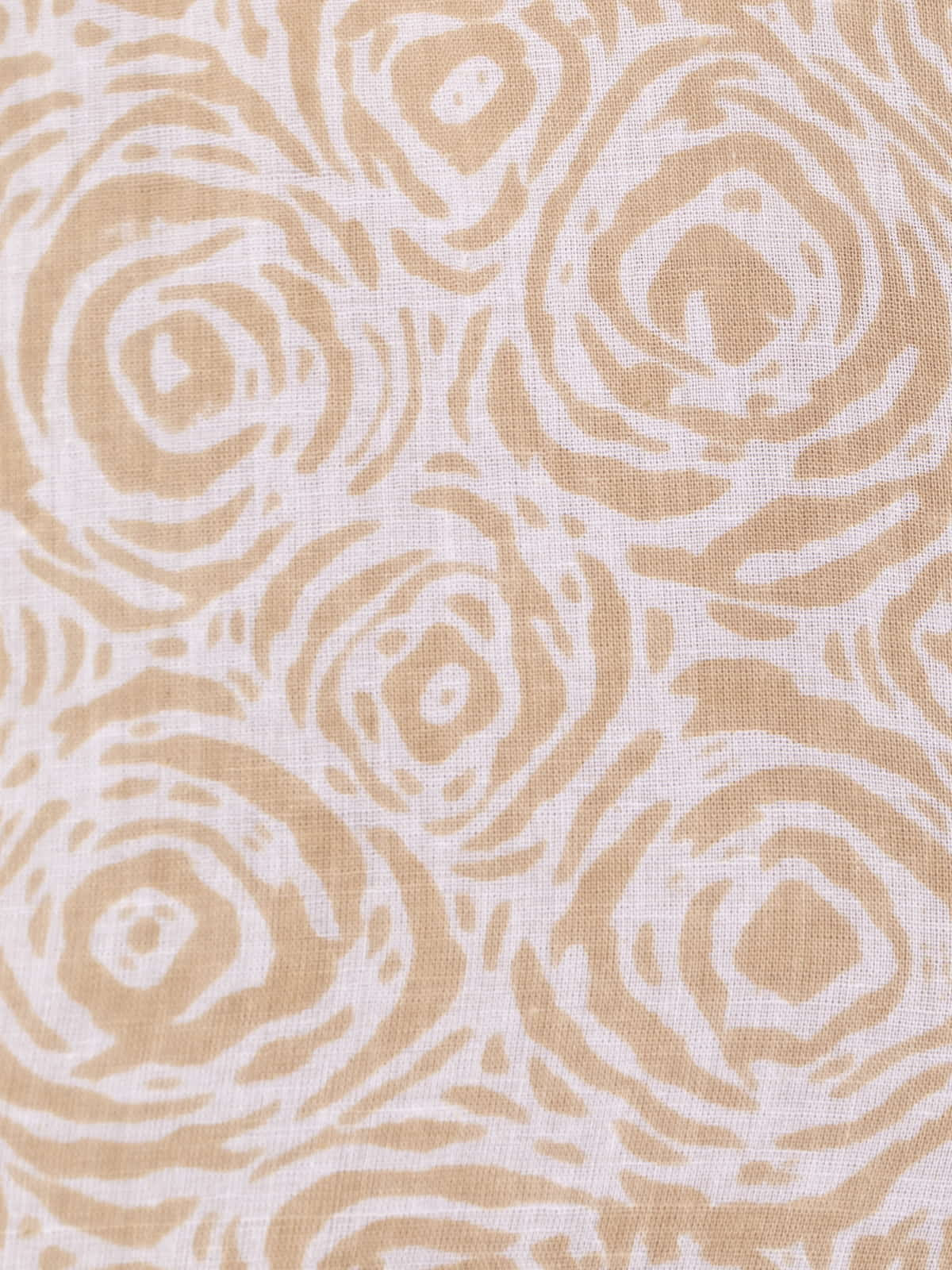 Camisa c/caja dibujo camelias color Beige