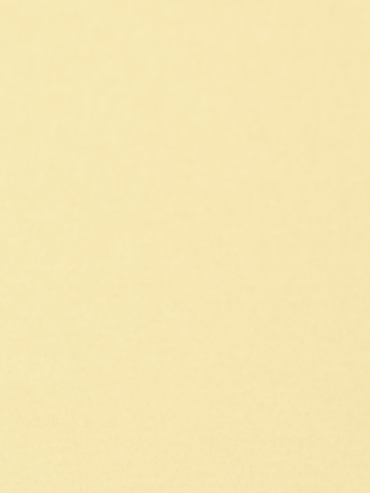 Essence cotton T-shirt with V-pocket  Amarillo colour