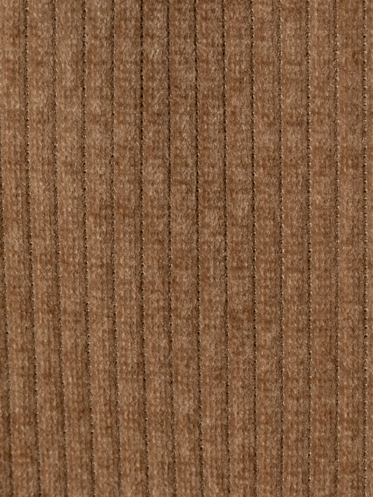 Oversized stretch corduroy blazer  Camel colour