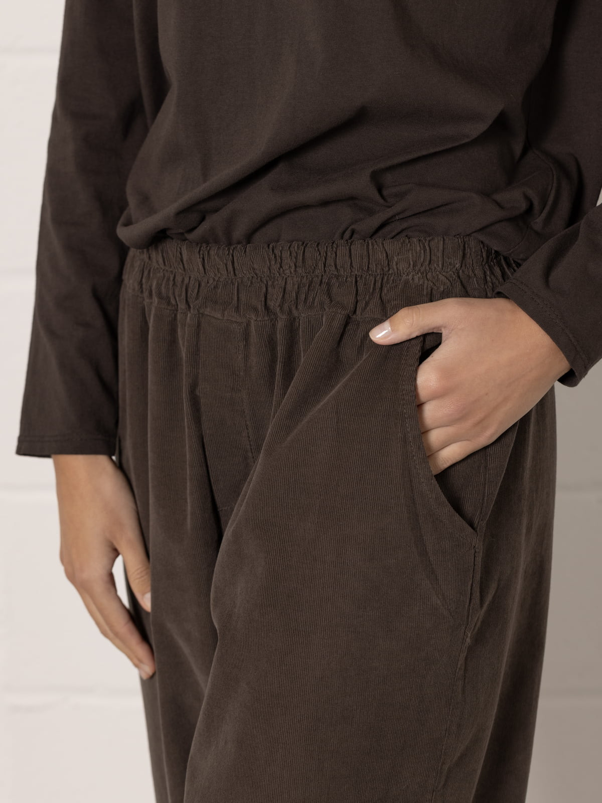 Micro-corduroy trousers without elastic  Marrón  colour