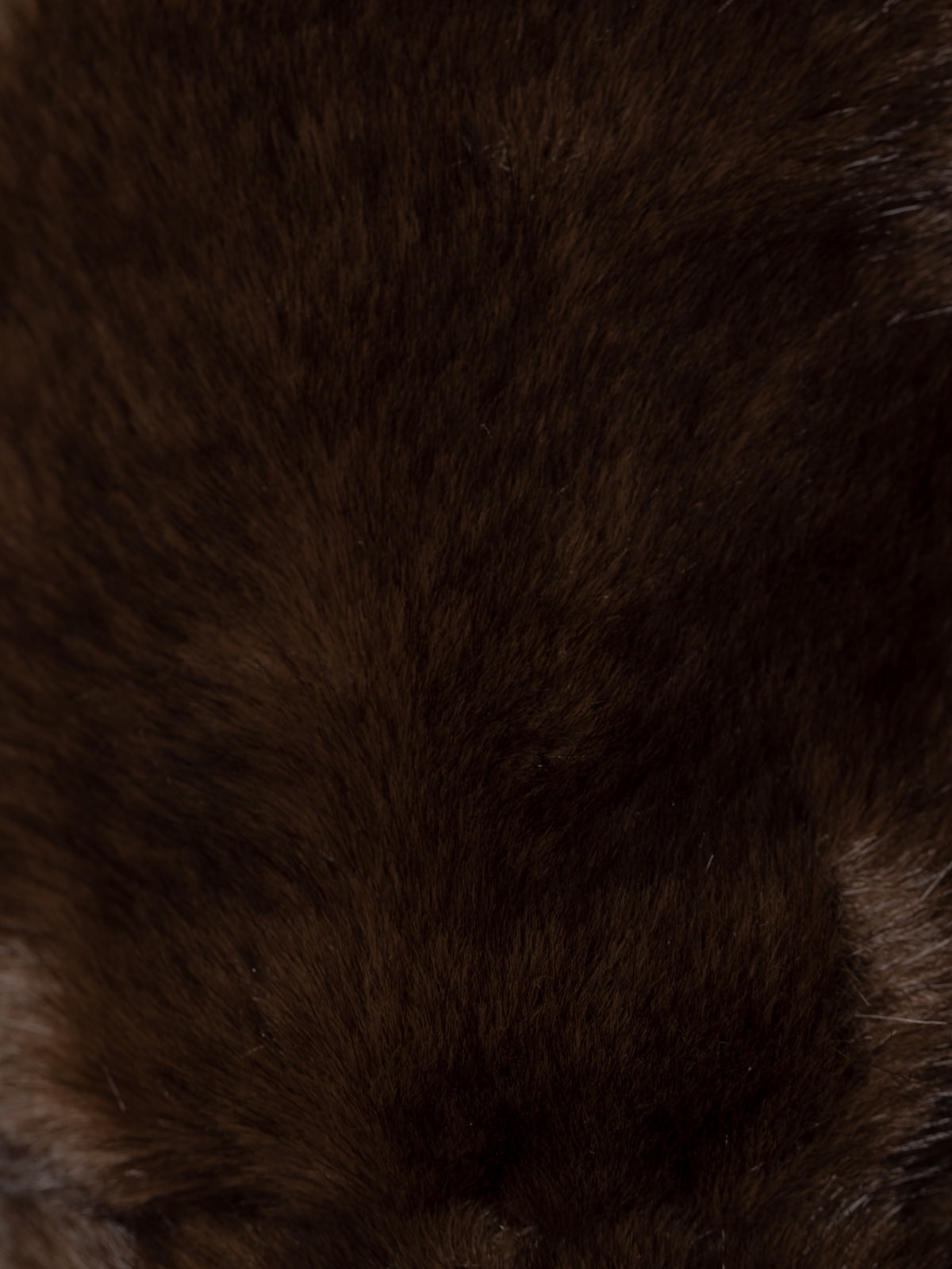 Trendy fur mittens  Marrón  colour